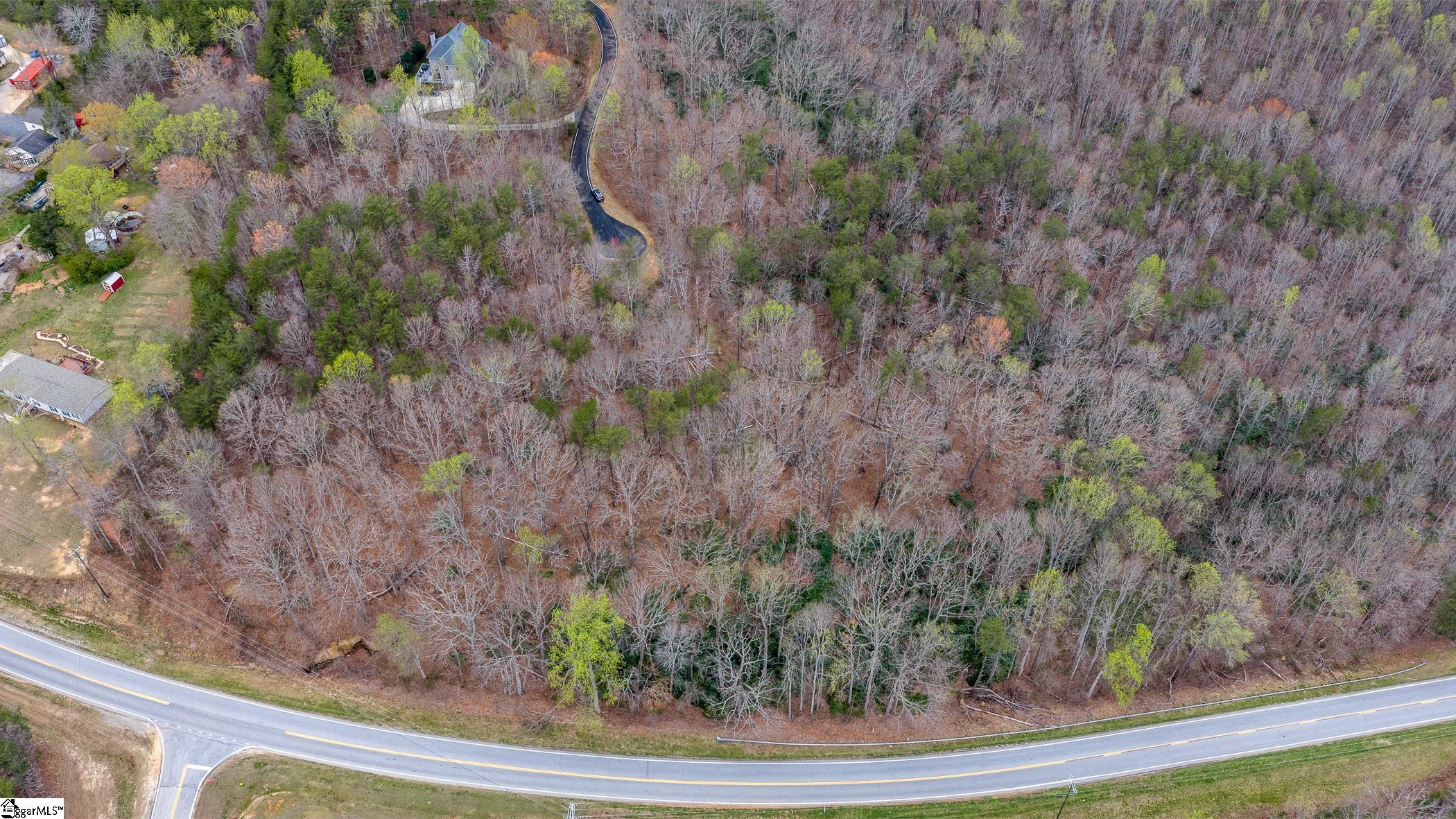 56 Angleblade Road Landrum, SC 29356 - Photo 9 of 11