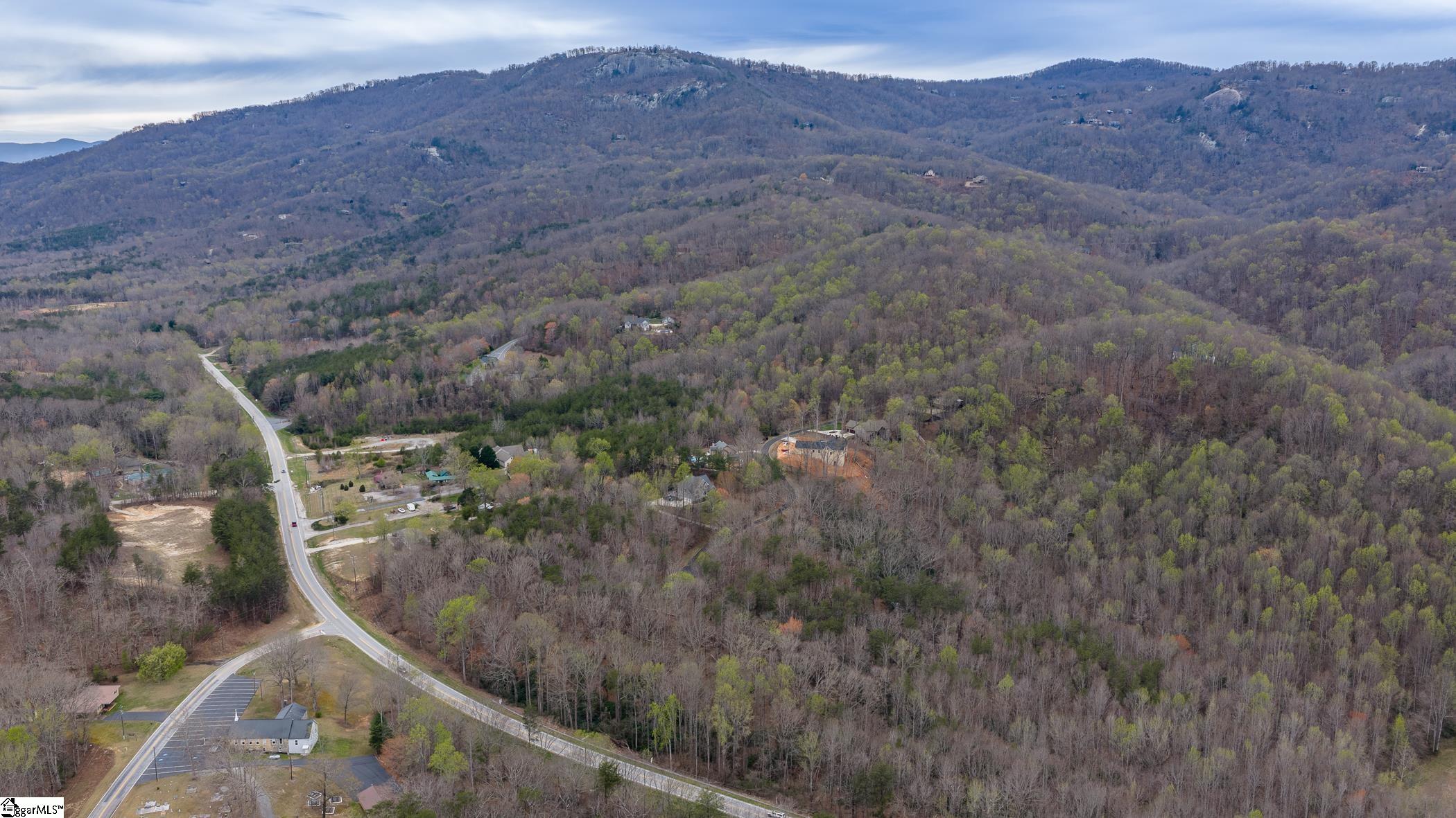 56 Angleblade Road Landrum, SC 29356 - Photo 10 of 11