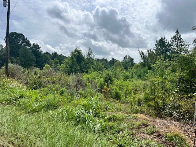 Cole Drive Southeast Ruth, MS 39662 - Photo 2 of 4 Photo 2