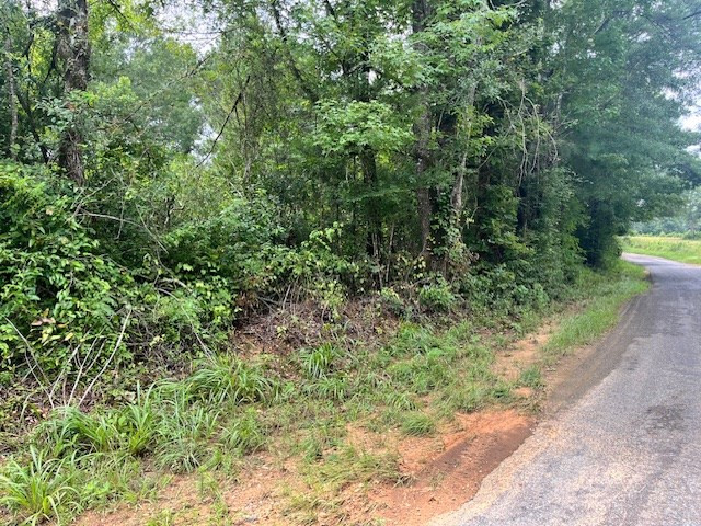 Cole Drive Southeast Ruth, MS 39662 - Photo 3 of 4 Photo 3
