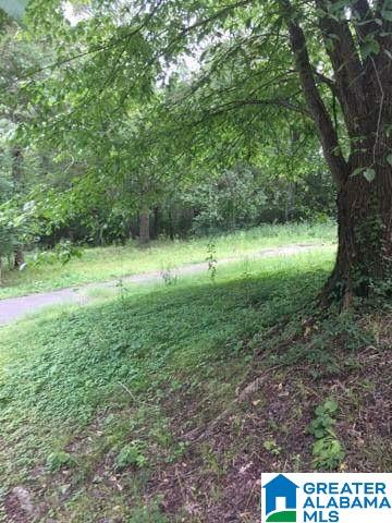 0 Old Road, Unit 4 AND 5 Scottsboro, AL 35769 - Photo 3 of 6