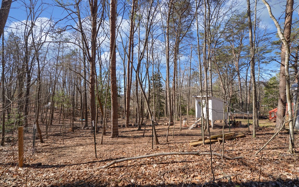 595 Goss Road Epworth, GA 30541 - Photo 40 of 46 Gallery Image 40