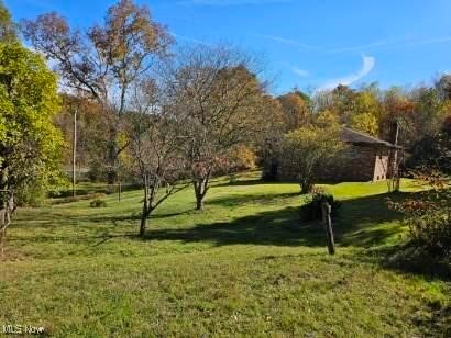8125 Scio Road Scio, OH 43988 - Photo 15 of 16 View of green lawn