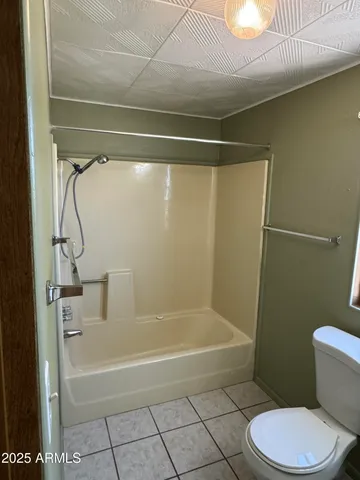 a bathroom with a bathtub and a toilet