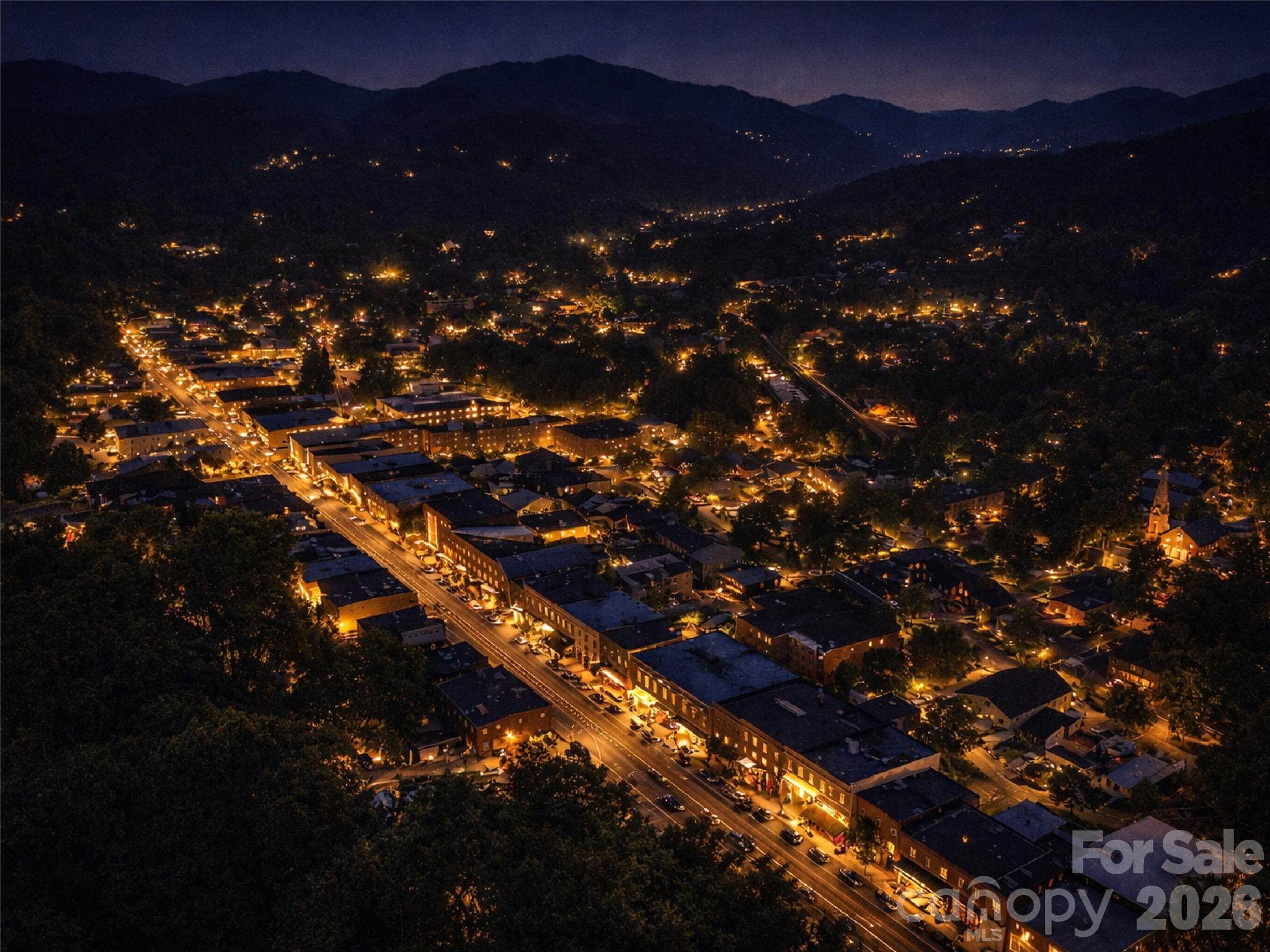 505 Middle Top Loop Waynesville, NC 28785 - Photo 30 of 33