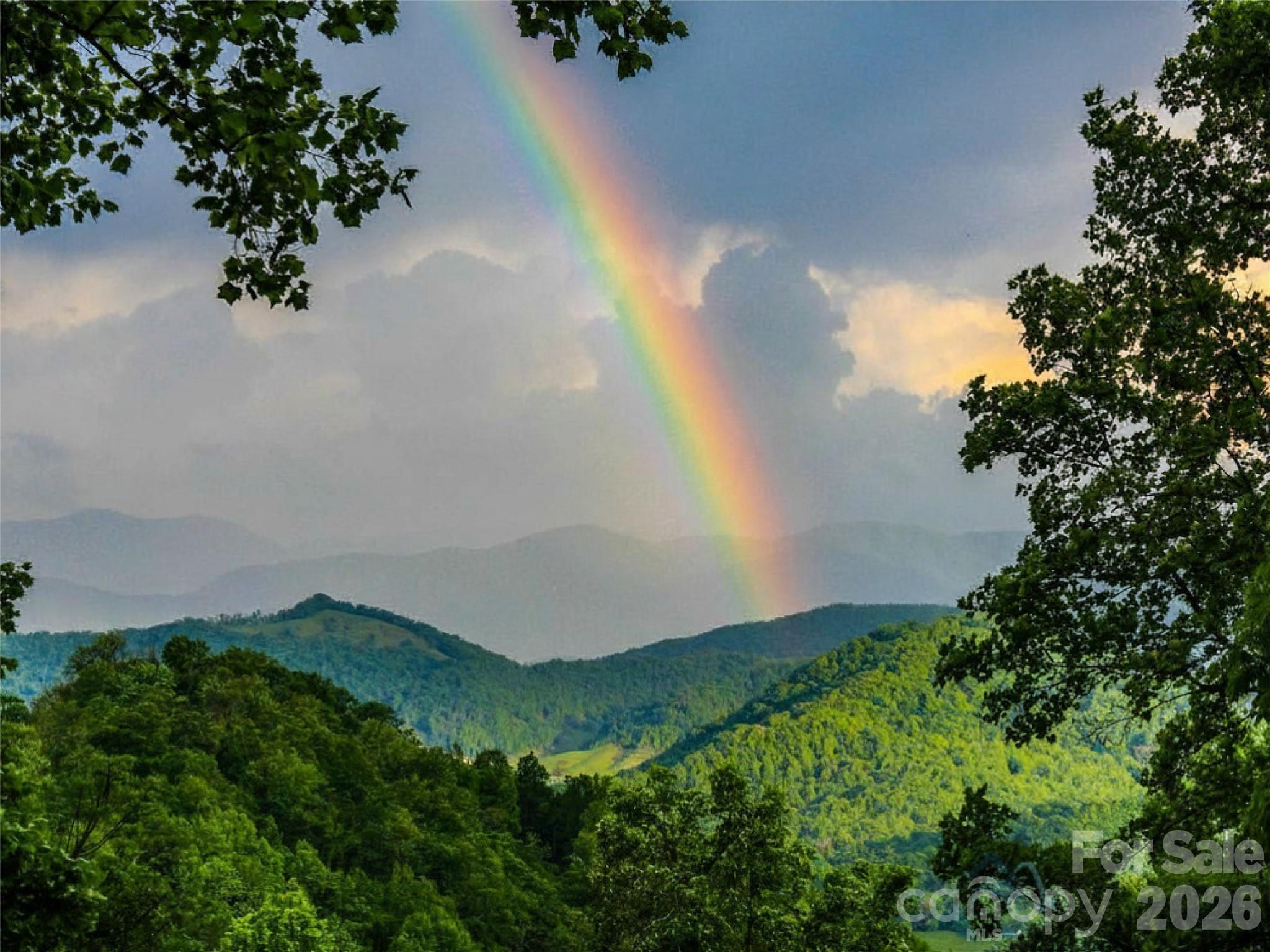 505 Middle Top Loop Waynesville, NC 28785 - Photo 3 of 33