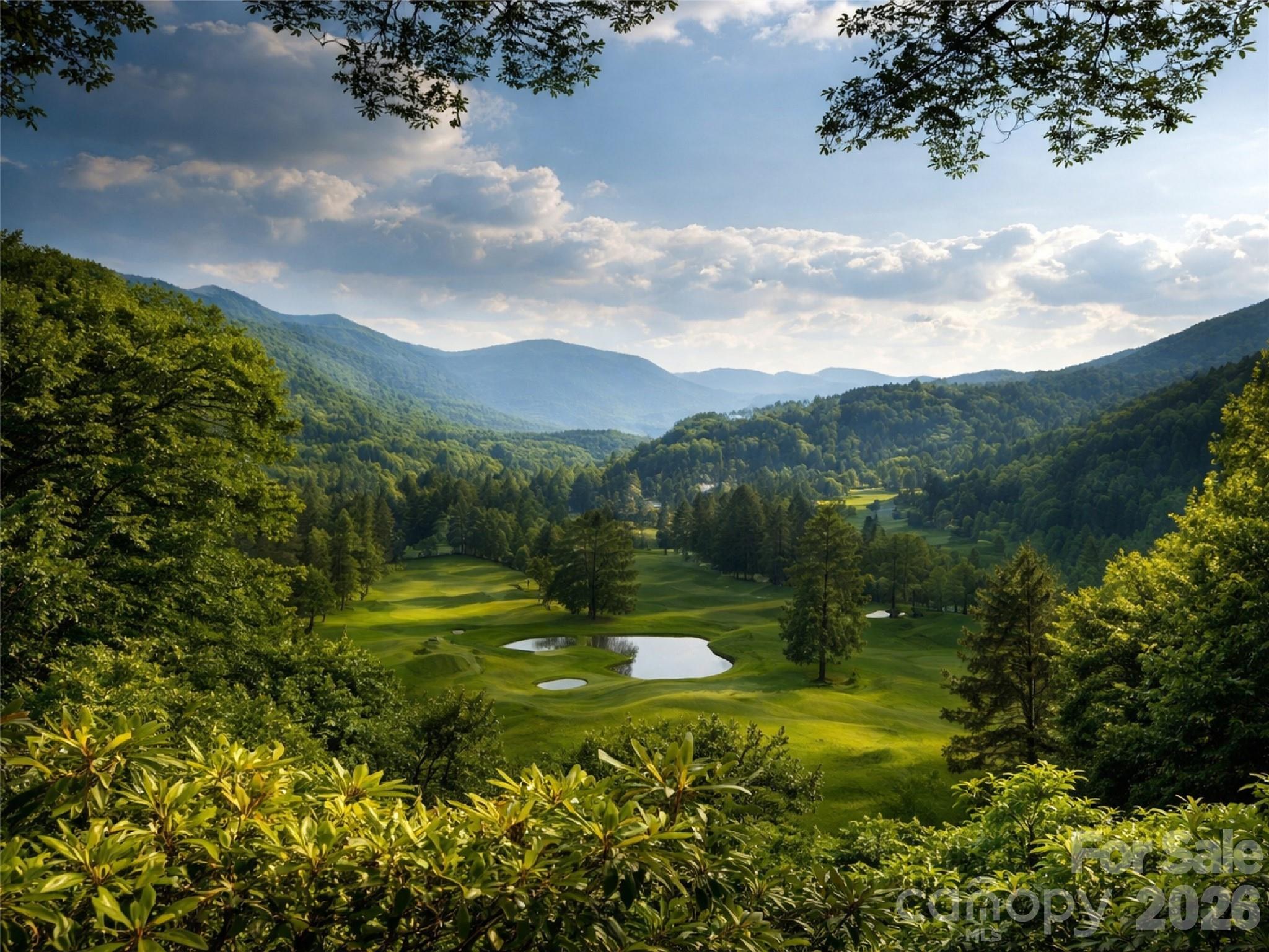 505 Middle Top Loop Waynesville, NC 28785 - Photo 33 of 33