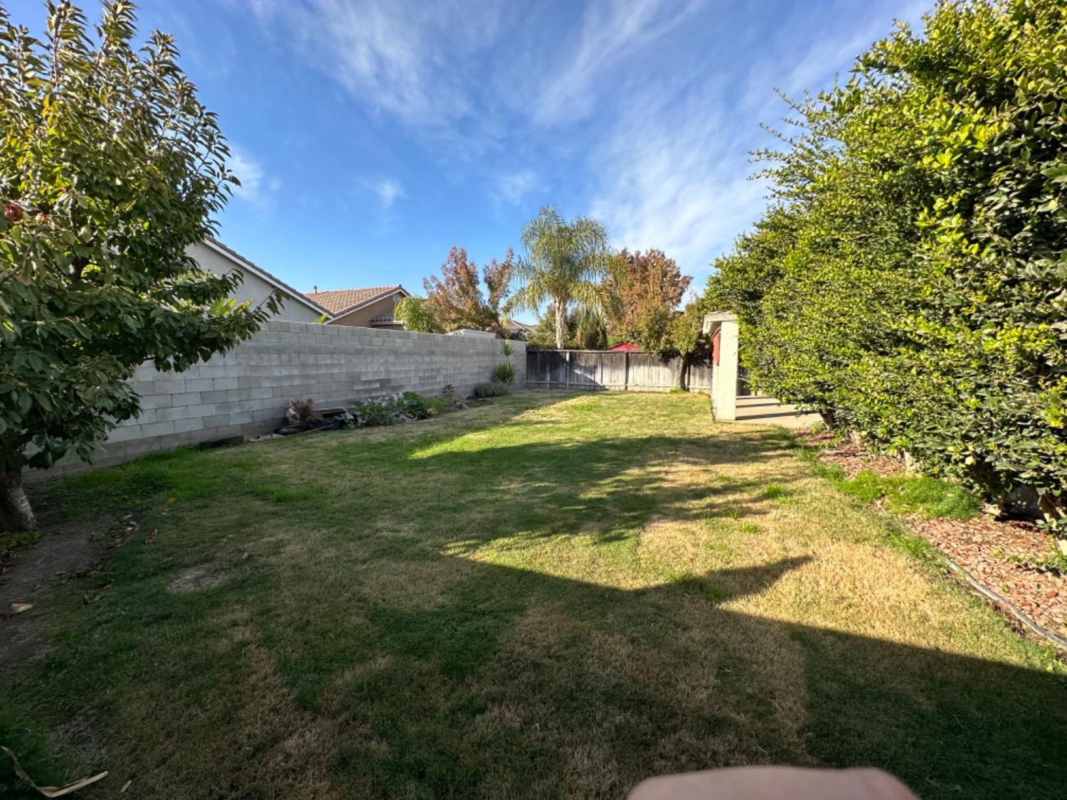 596 Grenache Avenue Madera, CA 93637 - Photo 21 of 26 a view of a house with a big yard
