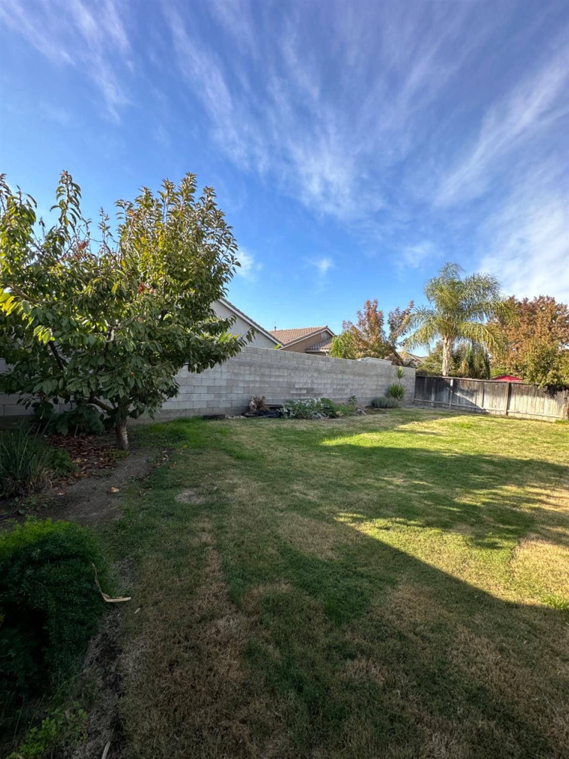 596 Grenache Avenue Madera, CA 93637 - Photo 22 of 26 a view of a field with an trees