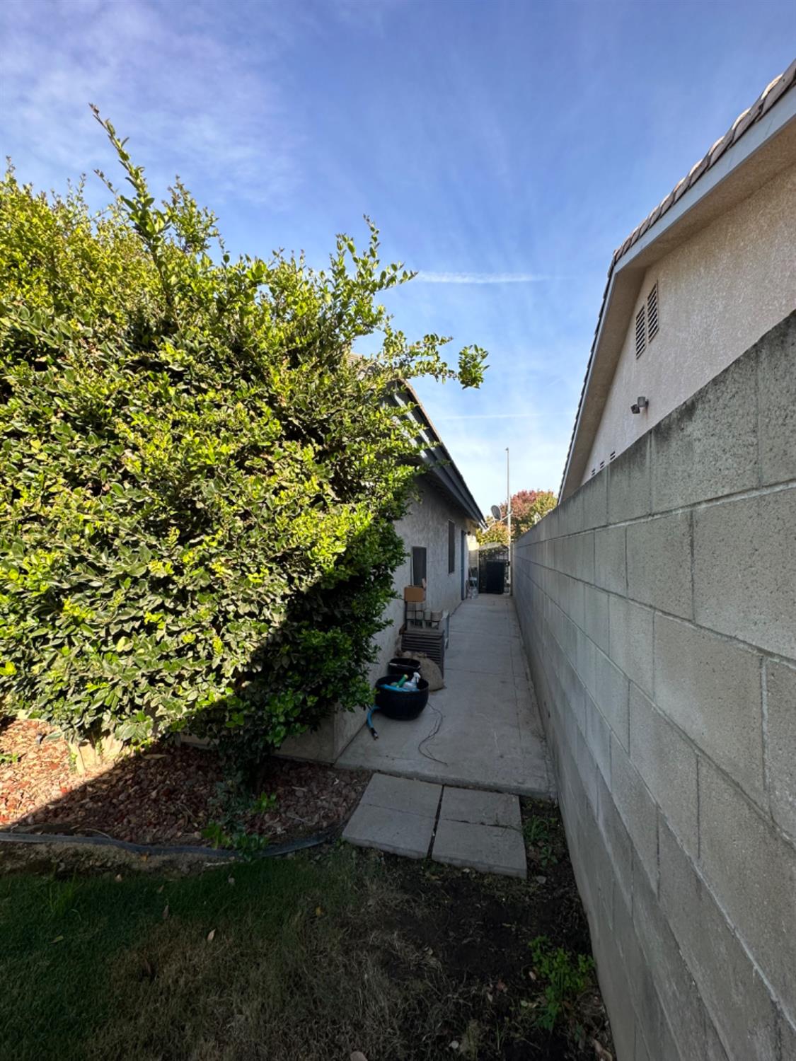596 Grenache Avenue Madera, CA 93637 - Photo 24 of 26 a view of a pathway with a yard
