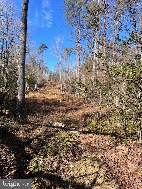 Lot 5998 Vermont Road Rhoadesville, VA 22542 - Photo 7 of 21 Gallery Image 7