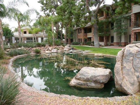 4488 East Thomas Road, Unit 1009 Phoenix, AZ 85018 - Photo 1 of 12 Grounds