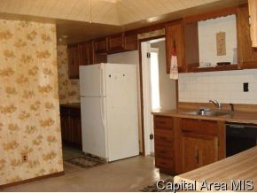 208 East Spruce Street Springfield, IL 62704 - Photo 9 of 12