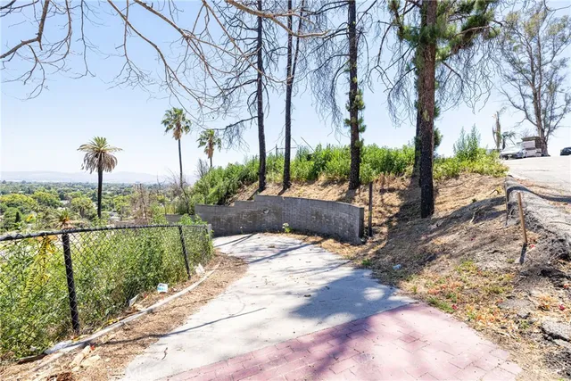 a view of a garden with a tree