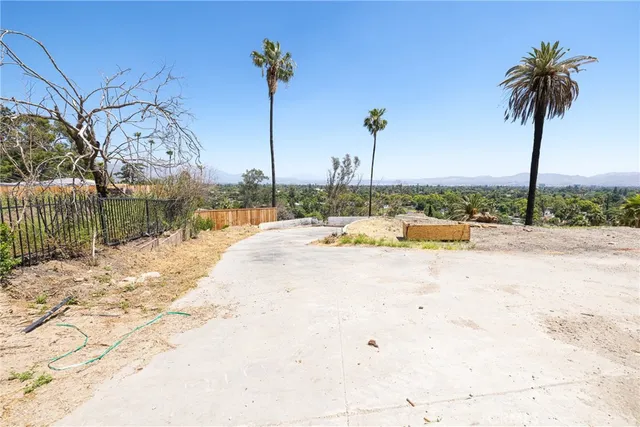 a view of lake with palm trees