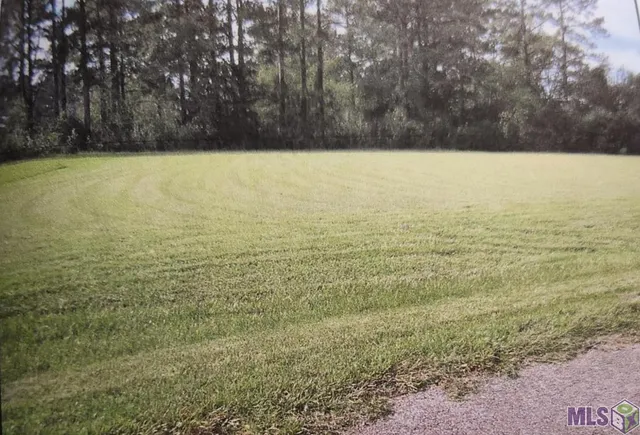 $39,000 | 0 Payne Road, Ethel, LA 70730