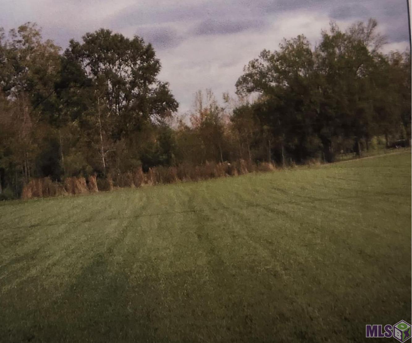 0 Payne Road Ethel, LA 70730 - Photo 2 of 2