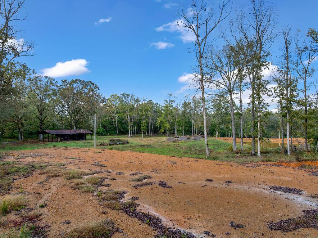 954 Evans Road Jasper, AL 35501 - Photo 11 of 19 DJI_20251021144511_0069_D
