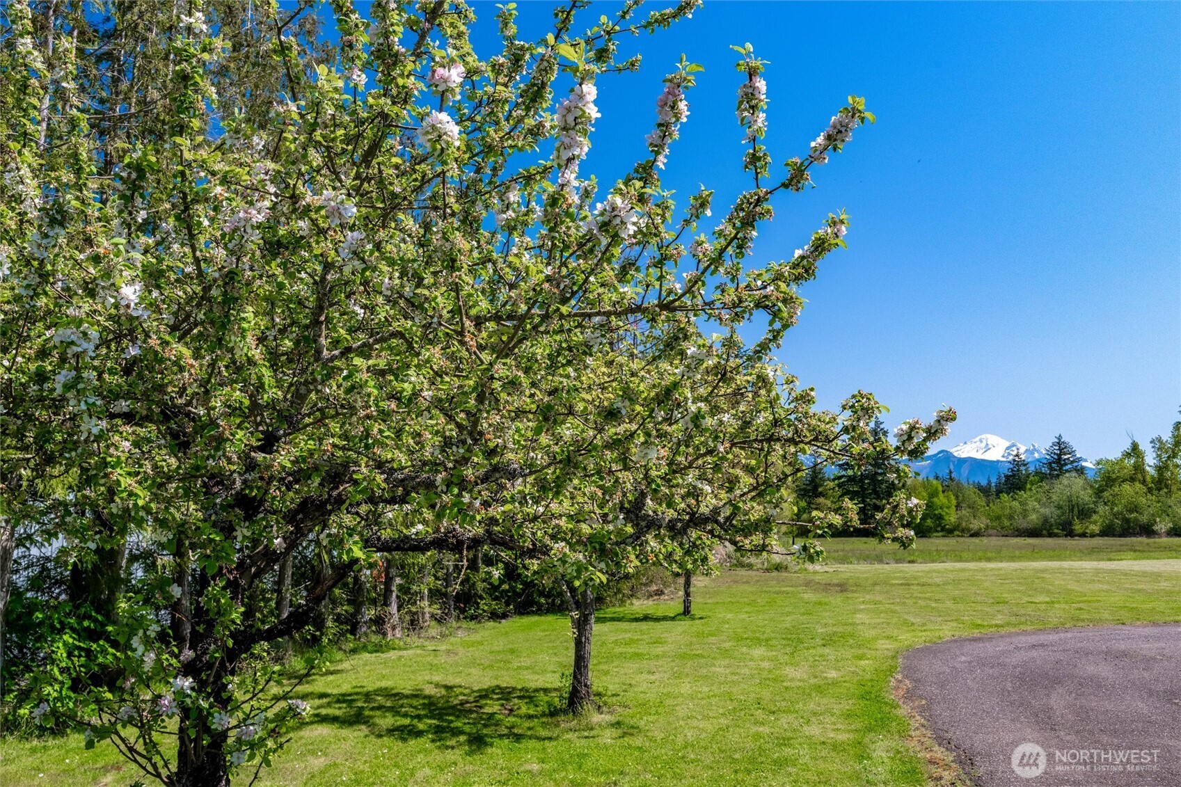 5698 Mission Road Bellingham, WA 98226 - Photo 35 of 40