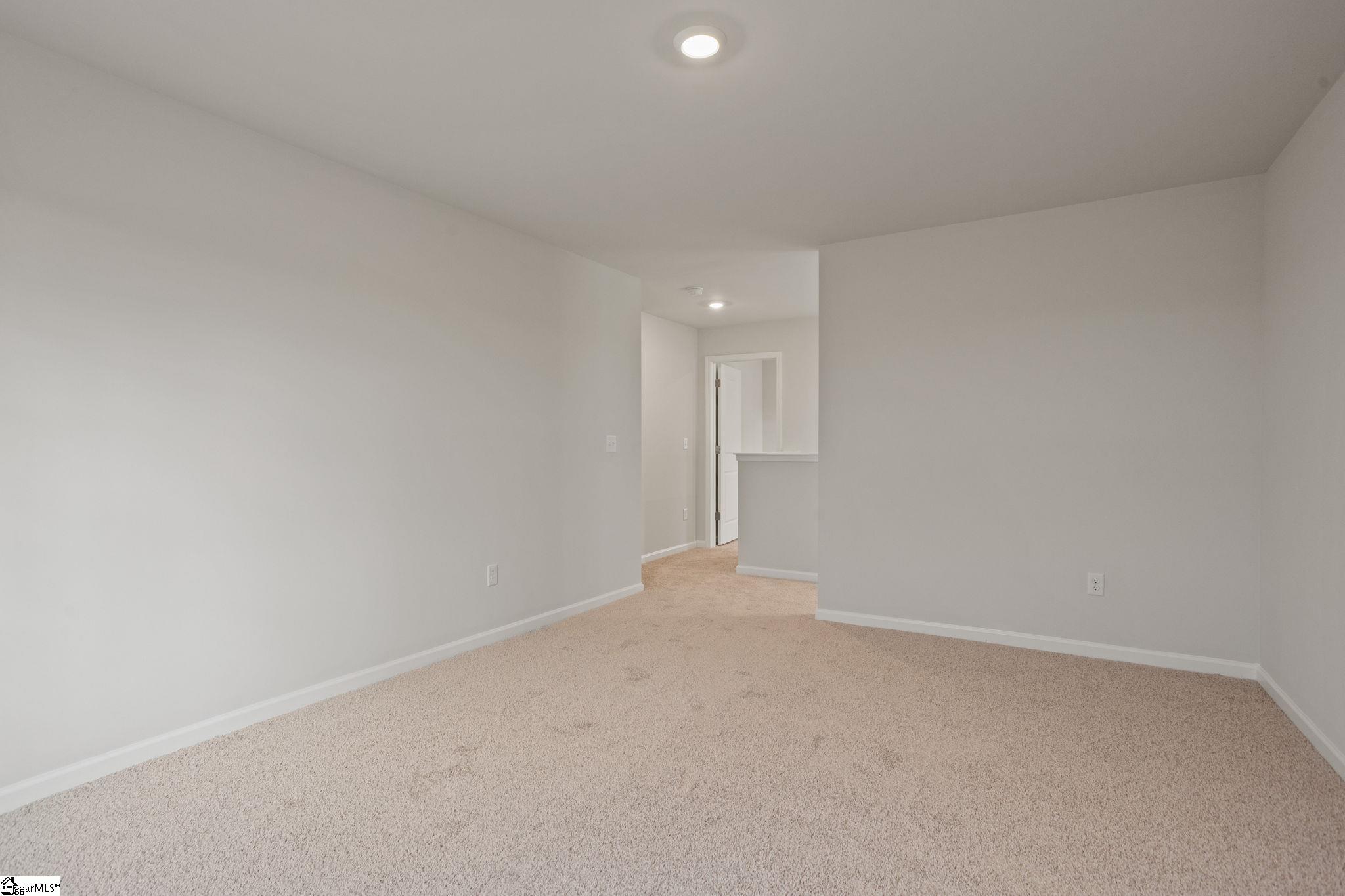 9 Torwood Street Fountain Inn, SC 29644 - Photo 15 of 24