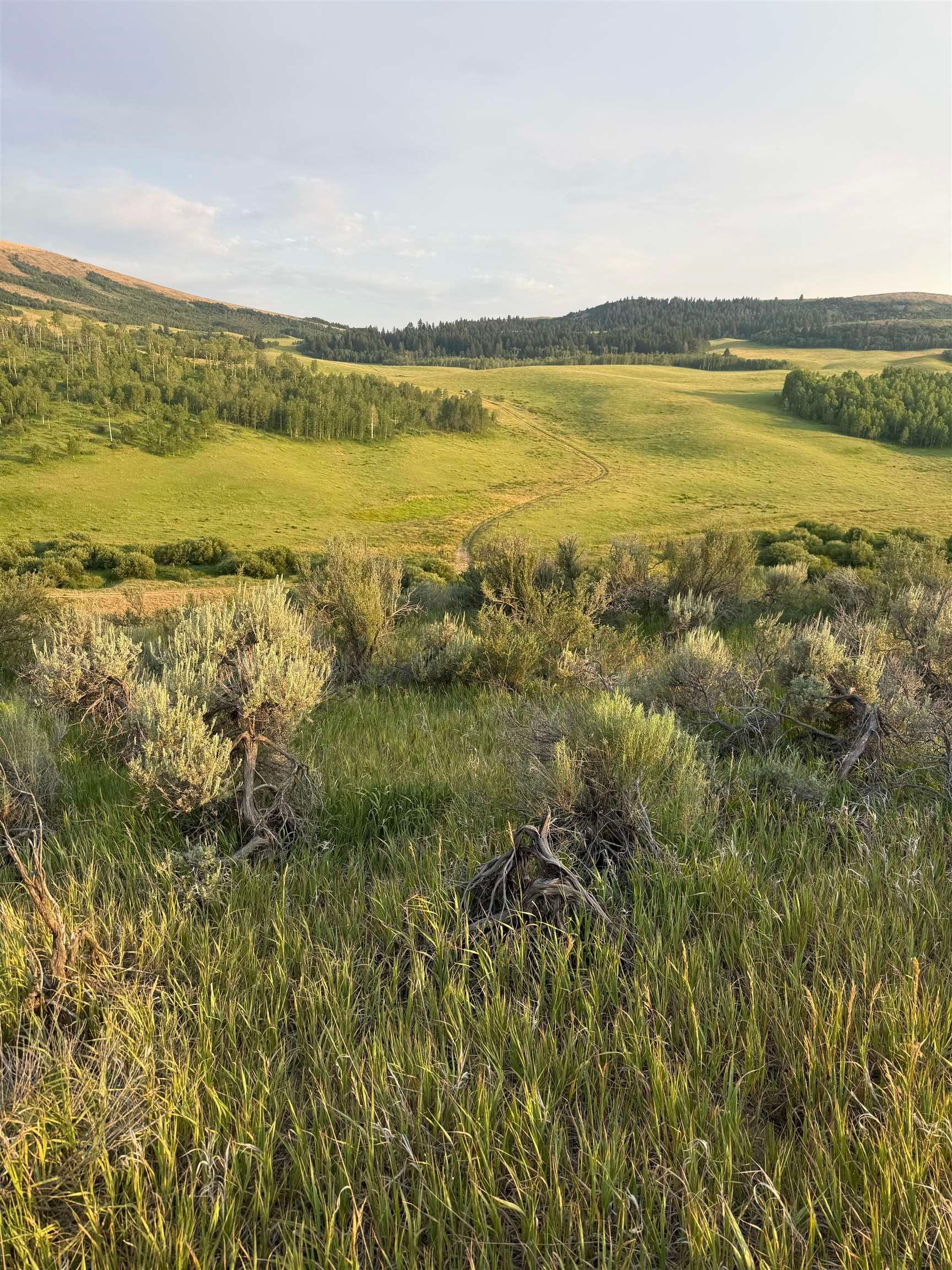 Tbd West Hoot Owl Road Inkom, ID 83245 - Photo 15 of 16 Gallery Image 15