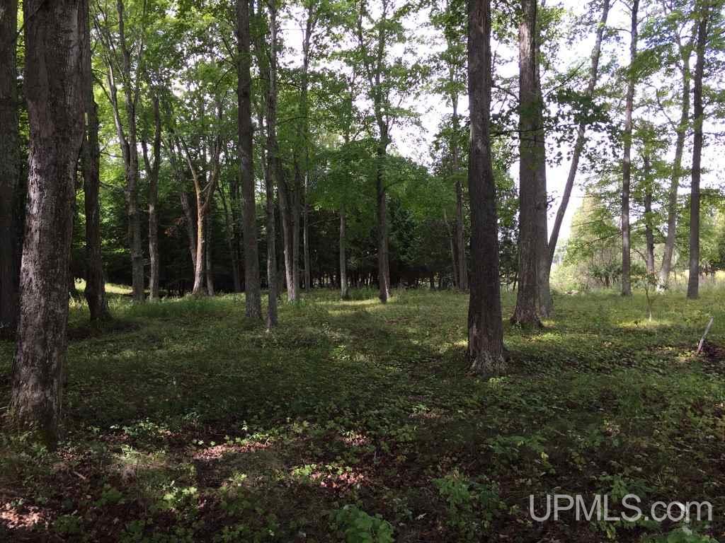 30.5 Northwest Rd Rock Mi 49880 Road Gladstone, MI 49837 - Photo 6 of 7