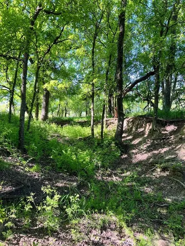 a view of a back yard of the house