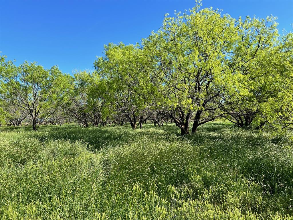 590 Comanche Tx 76442 Comanche, TX 76442 - Photo 18 of 36