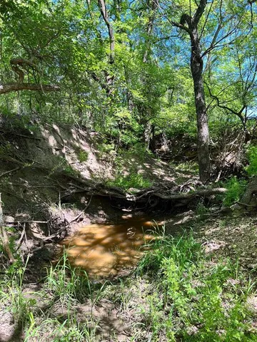 a view of a dry field with lots of bushes