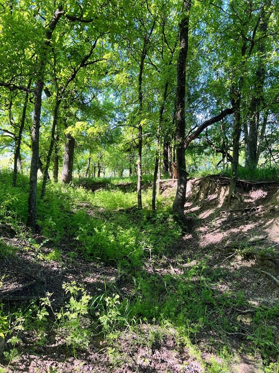 590 Comanche Tx 76442 Comanche, TX 76442 - Photo 2 of 36