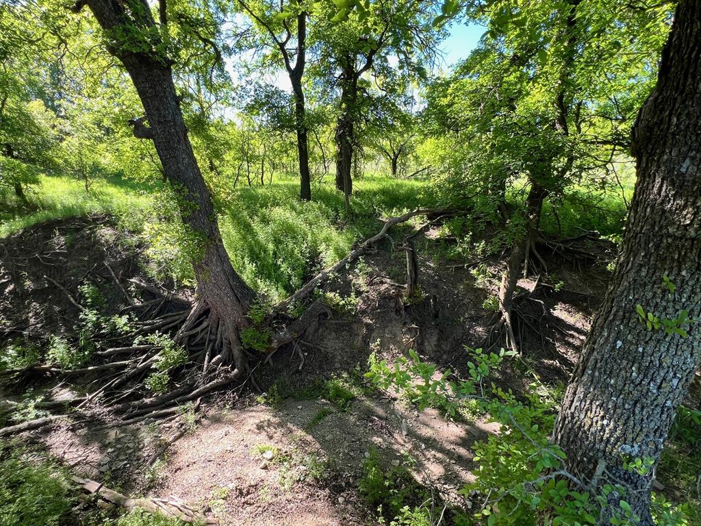 590 Comanche Tx 76442 Comanche, TX 76442 - Photo 21 of 36