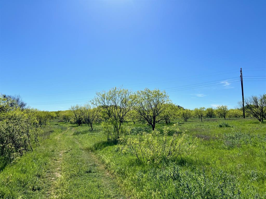 590 Comanche Tx 76442 Comanche, TX 76442 - Photo 23 of 36