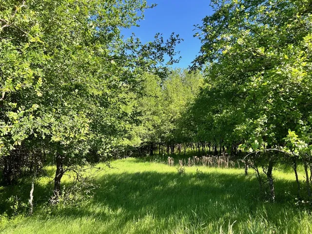 a view of an outdoor space with a lake view