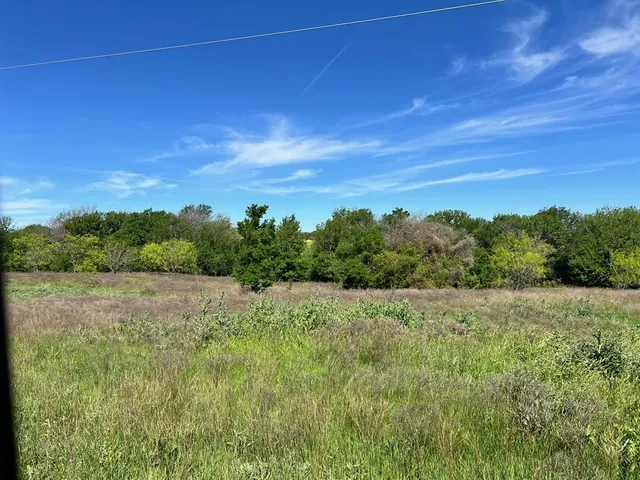 a view of a yard with a tree