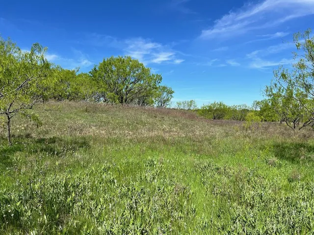 $299,000 | 590 Comanche Tx 76442, Comanche, TX 76442