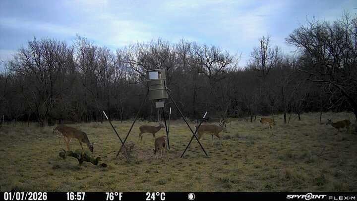 590 Comanche Tx 76442 Comanche, TX 76442 - Photo 3 of 36