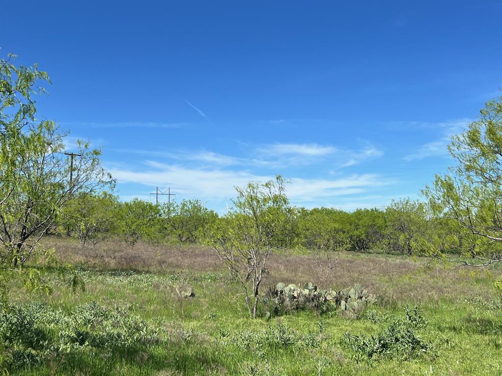 590 Comanche Tx 76442 Comanche, TX 76442 - Photo 31 of 36