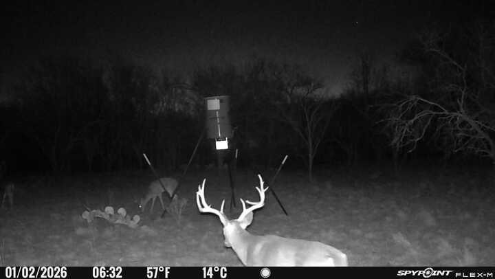 590 Comanche Tx 76442 Comanche, TX 76442 - Photo 36 of 36