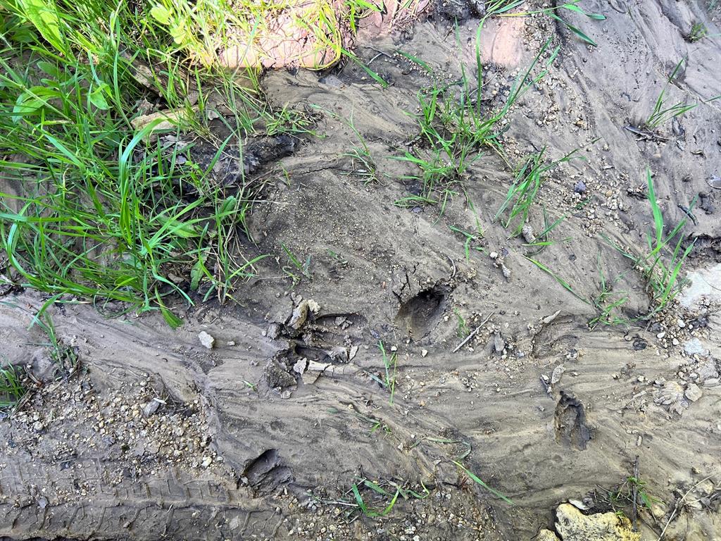 590 Comanche Tx 76442 Comanche, TX 76442 - Photo 5 of 36