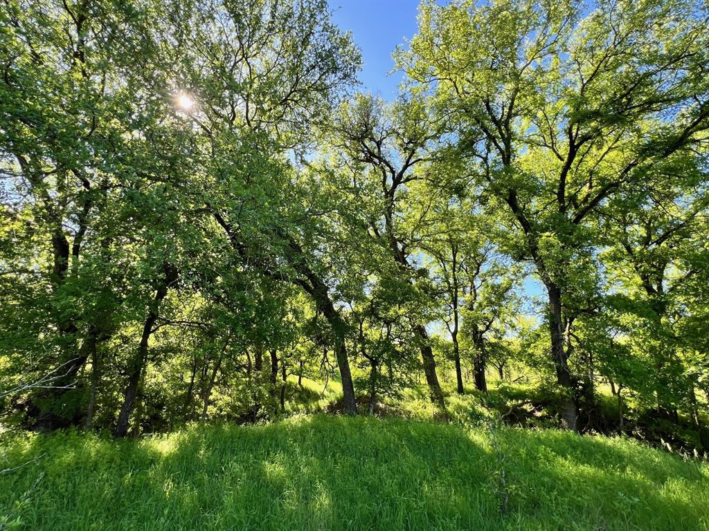 590 Comanche Tx 76442 Comanche, TX 76442 - Photo 7 of 36