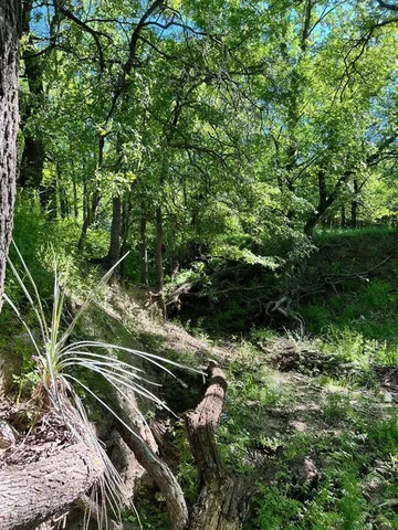 a view of a green field with lots of bushes