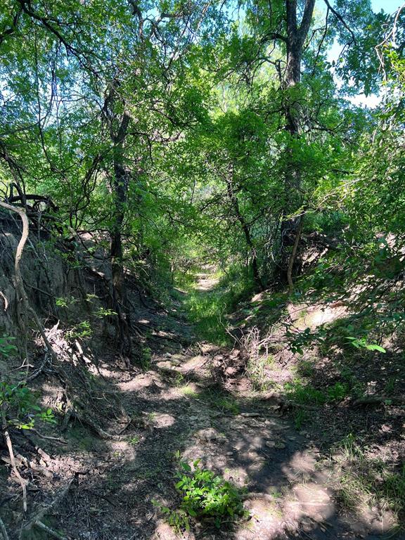 590 Comanche Tx 76442 Comanche, TX 76442 - Photo 10 of 36
