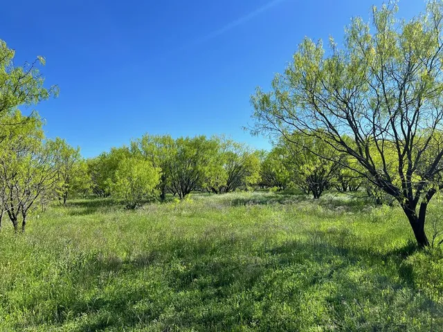 a view of an outdoor space with a lake view