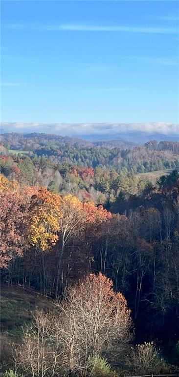 139 Thunder Road Piney Creek, NC 28663 - Photo 33 of 43