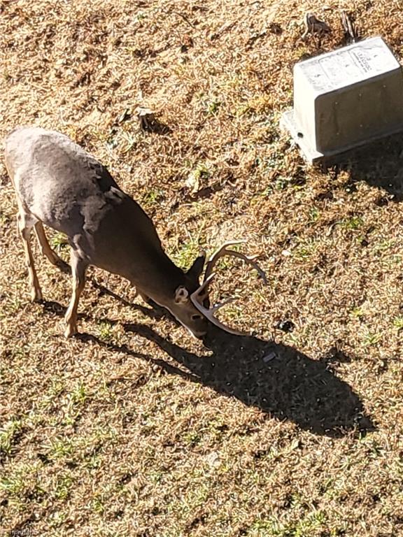 139 Thunder Road Piney Creek, NC 28663 - Photo 6 of 43