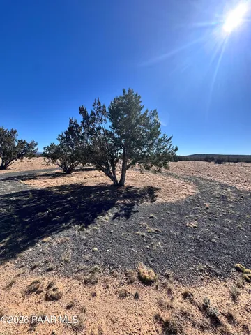 a view of a dry yard with wooden fence