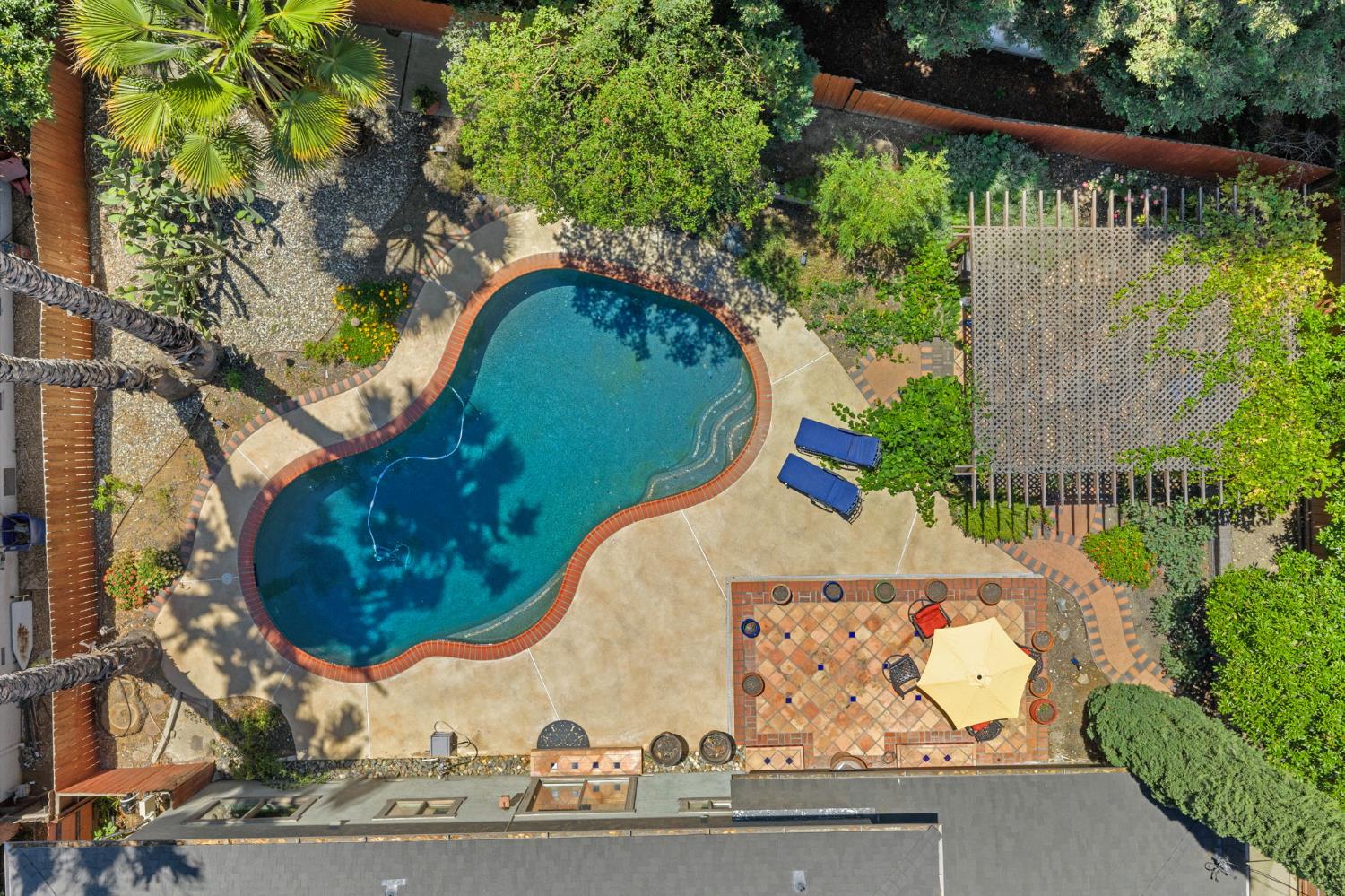 4206 Zephyr Way Sacramento, CA 95821 - Photo 44 of 45 an outdoor view with a garden