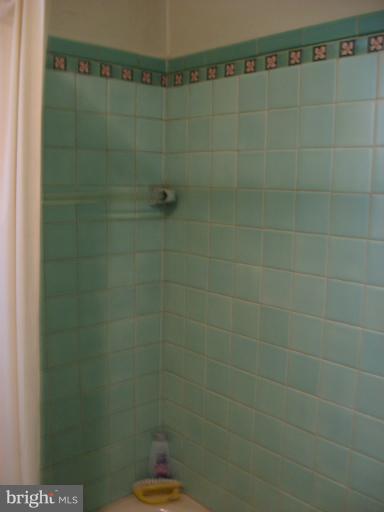 1317 Decatur Street Northwest Washington, DC 20011 - Photo 25 of 26 Bath