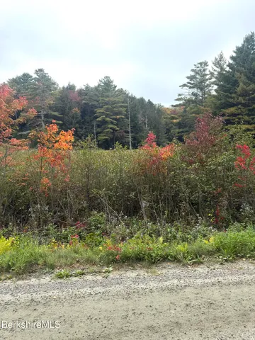 $165,000 | 0 North Beech Plain Road, Sandisfield, MA 01255