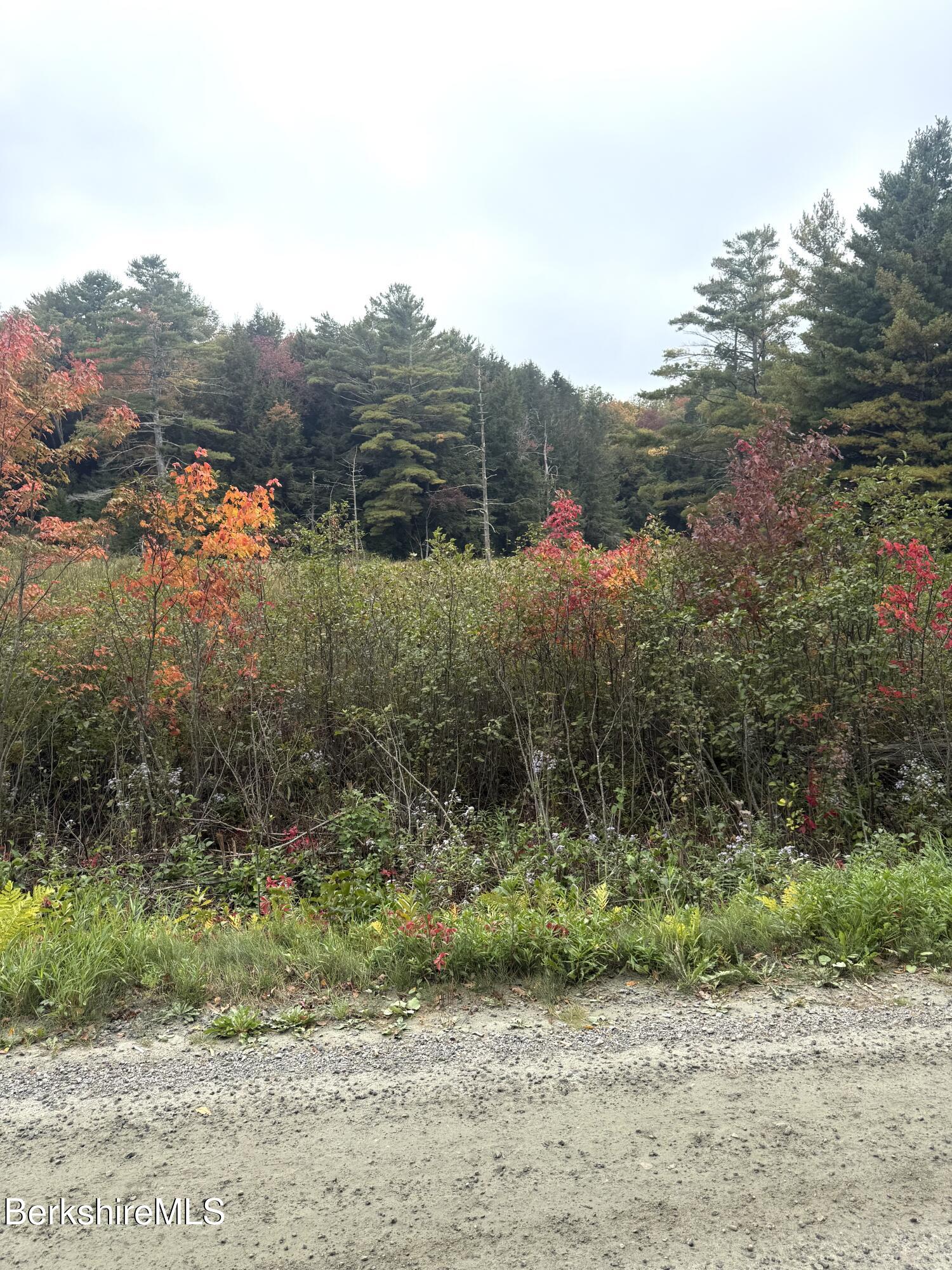 0 North Beech Plain Road Sandisfield, MA 01255 - Photo 11 of 13 IMG_4862